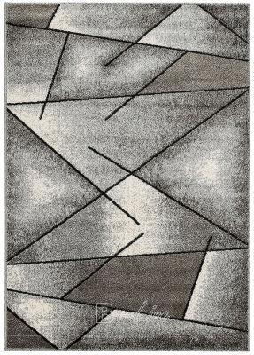 Moderní vzor Kusový koberec PHOENIX 3016-0544