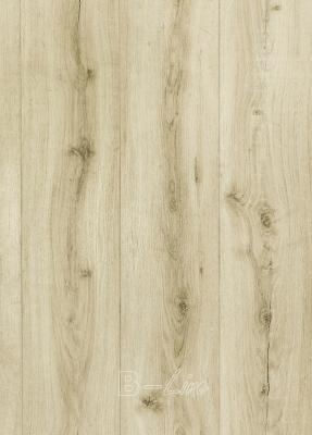 Dřevo Vinylová podlaha MODULEO SELECT Brio Oak 22237