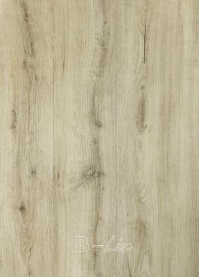 Dřevo Vinylová podlaha MODULEO SELECT Brio Oak 22247