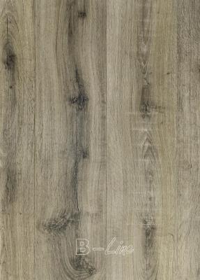 Dřevo Vinylová podlaha MODULEO SELECT Brio Oak 22877