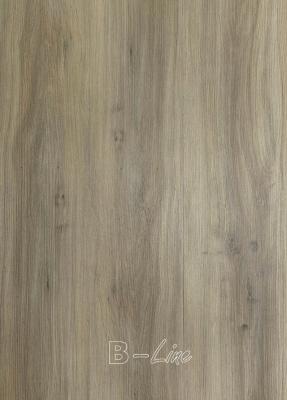 Dřevo Vinylová podlaha MODULEO SELECT Classic Oak 24864