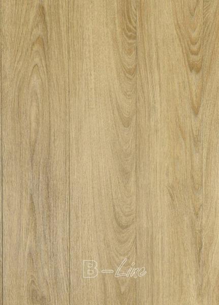 Vinylová podlaha MODULEO SELECT Midland Oak 22821
Kliknutím zobrazíte detail obrázku.